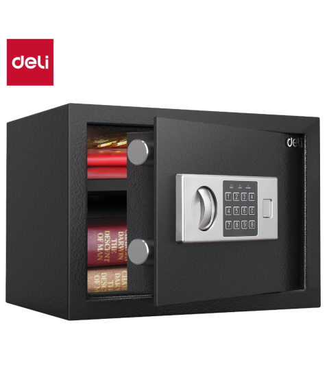 Safeu metalic DELI T521 250х350х250mm